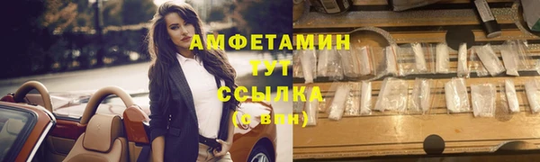 сатива Гусь-Хрустальный