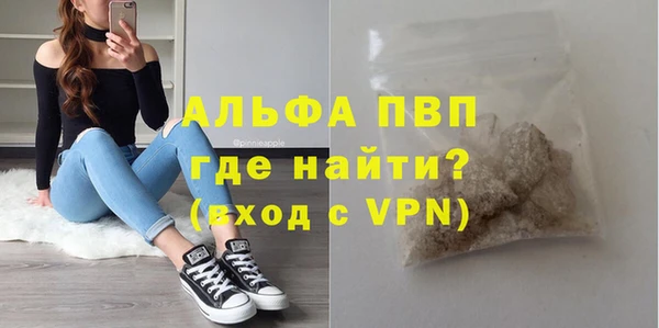 сатива Гусь-Хрустальный