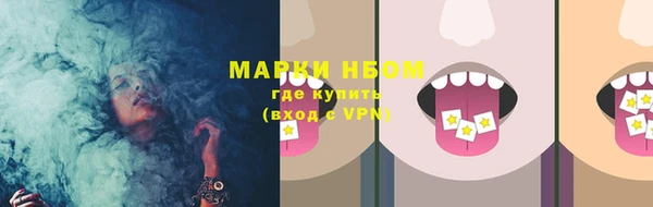 сатива Гусь-Хрустальный