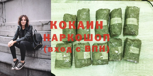 сатива Гусь-Хрустальный