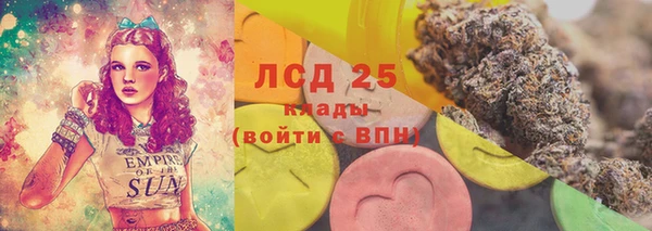 альфа пвп Гусев