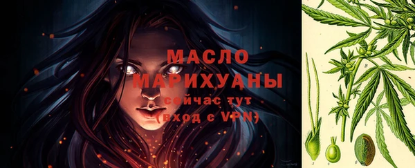 сатива Гусь-Хрустальный