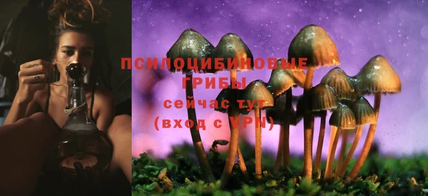 альфа пвп Гусев
